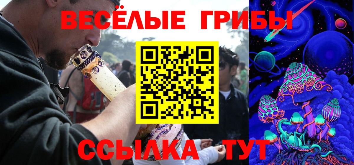 Псилоцибиновые грибы Magic Shrooms Карпинск