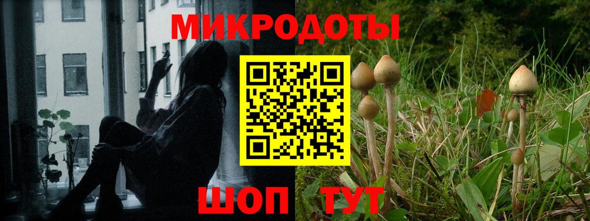 Галлюциногенные грибы MAGIC MUSHROOMS  Галлюциногенные грибы мухоморы  Карпинск  Вход с VPN 